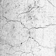 Obraz premium texture of old wall