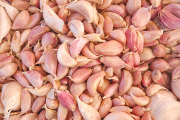 Fresh garlic background One in spices for cooking