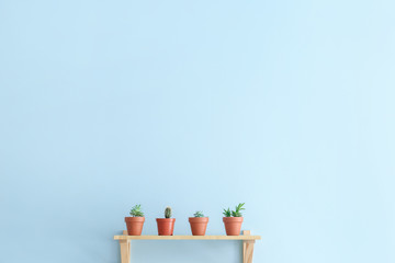 Obraz premium Shelf with houseplants hanging on color wall