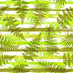 Obraz premium Modern new zealand fern frond and bracken grass 