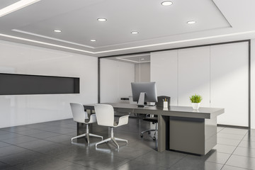 White and gray CEO office with meeting room