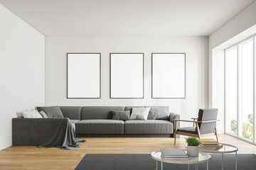 White living room with poster gallery