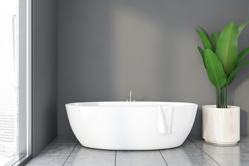 Fototapeta na wymiar Gray bathroom interior with tub and plant