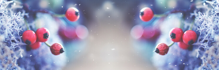 Obraz na płótnie Canvas Weihnachtlicher Hintergrund oder banner mit Moos udn roten Beeren, Winterzeit, Adventszeit