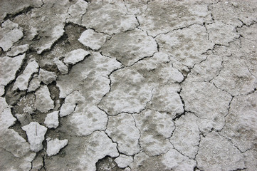 Ukrainian soil.Grungy arid land texture. Grey cracked floor surface. Ecological problem. Near Kiev,Ukraine