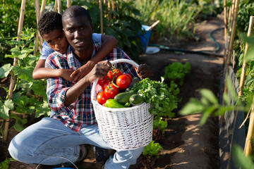 Portrait farmer and son with harvest of tomatoes, bell pepers and parsley from the garden