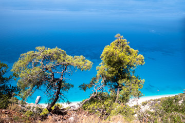 Tree branches with sea.