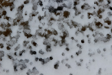 Wet melting snow on the sidewalk. Background