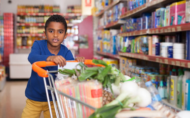 teenager boy with shopping cart  in supermarket