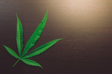 Fresh green Marijuana or Cannabis leaf on wooden wallpaper. Top view, flat lay, vintage toning with...