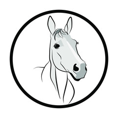 Horse figure in dark lines. Horse head on a white background. Muzzle of a white horse in half a turn.