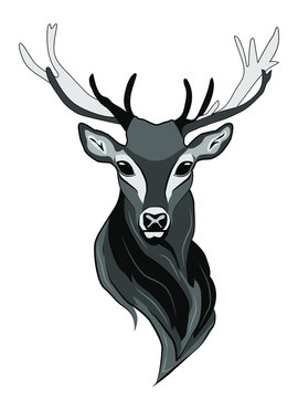 Vector illustration in gray tones of a male deer with big horns.