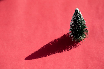 Winter sunlight shines through the Christmas tree causing shadow on red background