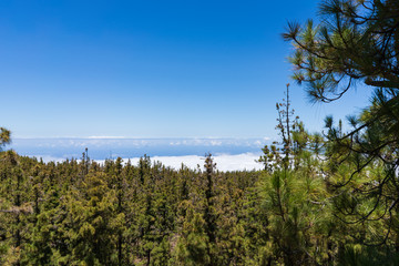 Fototapeta na wymiar El Teide National Park, Tenerife, Canary Islands, Spain
