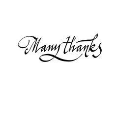 many thanks calligraphic inscription, hand written by lettering.