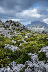 landscape of Sierra de Tramuntana, Mallorca, Spain