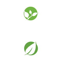 Leaf Logo Template vector symbol