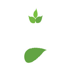 Leaf Logo Template vector symbol