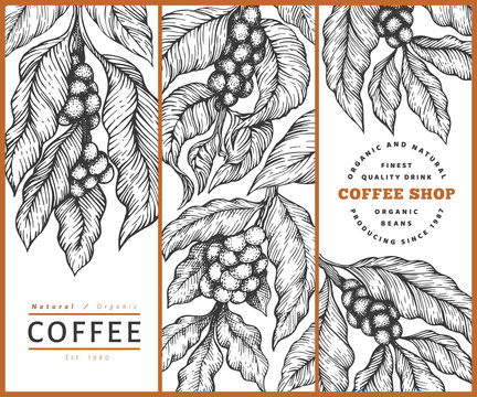 Set of coffee vector design template. Vintage coffee background. Hand drawn engraved style illustration.