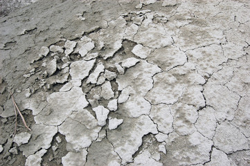 Ukrainian soil.Grungy arid land texture. Grey cracked floor surface. Ecological problem. Near Kiev,Ukraine