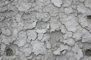 Ukrainian soil.Grungy arid land texture. Grey cracked floor surface. Ecological problem. Near Kiev,Ukraine
