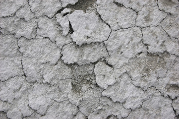 Ukrainian soil.Grungy arid land texture. Grey cracked floor surface. Ecological problem. Near Kiev,Ukraine