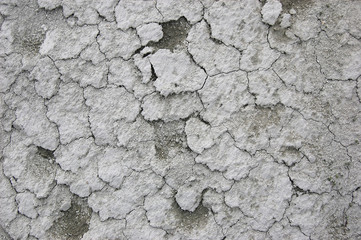 Ukrainian soil.Grungy arid land texture. Grey cracked floor surface. Ecological problem. Near Kiev,Ukraine