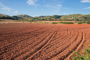 Paysage agricole proche Cala Pregonda, une des plus belles plages de Minorque, îles Baléares