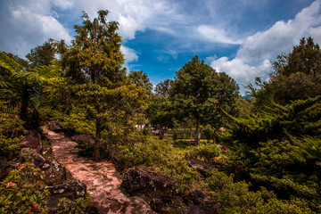 The blurred background of water droplets from the waterfalls that cover the area around the walkway, surrounded by large trees and fresh cool air while visiting the scenery.