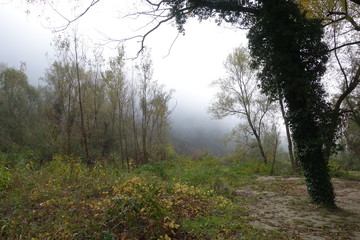 Obraz premium Gola del Furlo