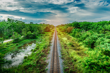 Railroad and railway train transportation with color of sky sunlight