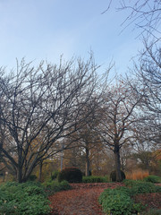 Fototapeta na wymiar Herbstidyll im MüGa-Park in Mülheim an der Ruhr 