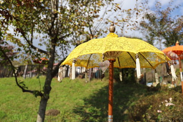 indian umbrella in the garden