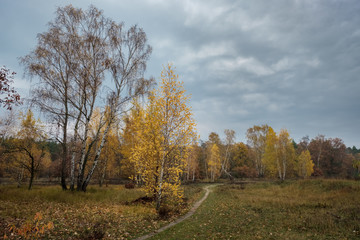Herbstliche Stimmung am ehemaligen Schießplatz der 