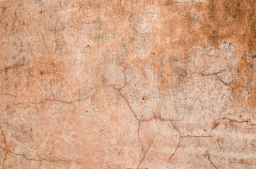 brown dirty mildewed wall
