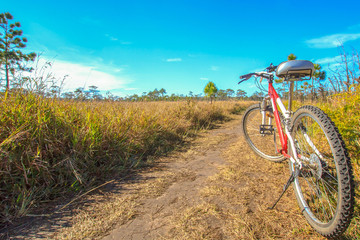 Obraz premium Mountain bike on the rural road.