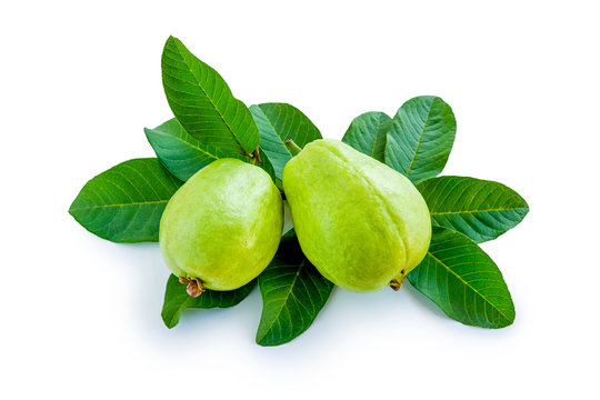 Ripe guava with leaves on white background
