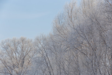 Winter Rime Scenery at Daytime in Famous Rime Island in a winter day, Jilin Province, China