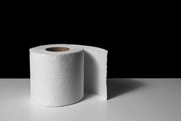 roll of toilet tissue paper