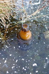 An empty glass bottle was frozen in the ice of the lake. Environmental pollution. Ecology.