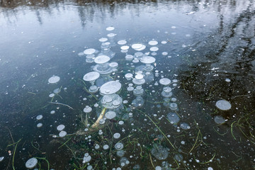 Frozen lake Air bubbles frozen in the ice of the lake. Beautiful winter background