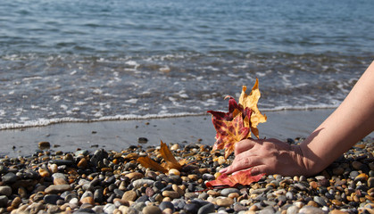 autumn leaves in hand on the background of the sea