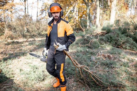 Portrait of a professional lumberjack in protective workwear carrying tree branches while logging in the pine forest - Powered by Adobe