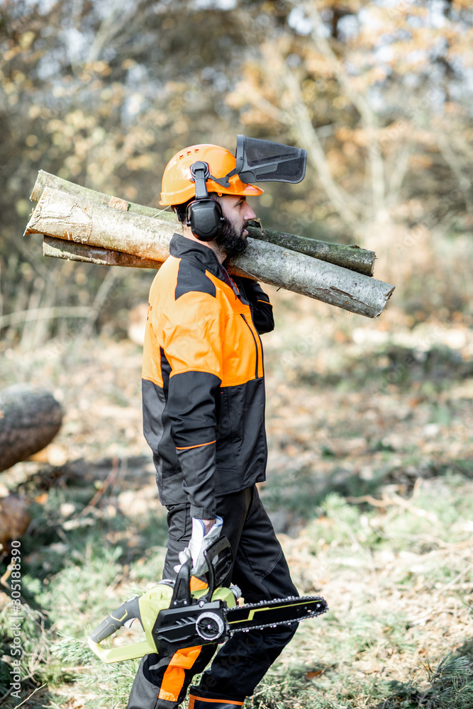 Wall mural professional lumberman in protective workwear with a chainsaw carrying wooden logs during the work o