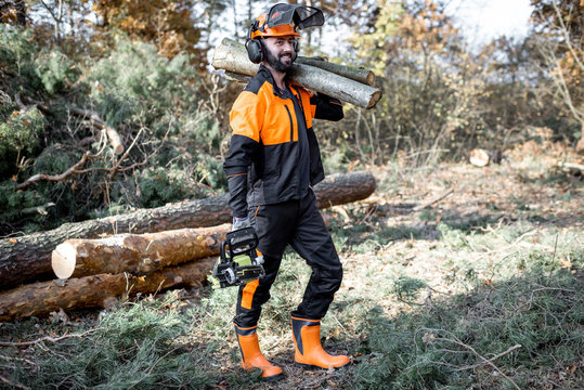 Professional lumberman in protective workwear with a chainsaw carrying wooden logs during the work on logging in the pine forest