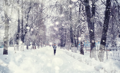 Winter forest landscape. Tall trees under snow cover. January frosty day in the park.