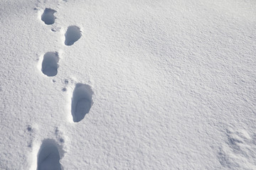 The texture of the snow. Winter rainfall. Tracks on a snowy road after a snowfall.