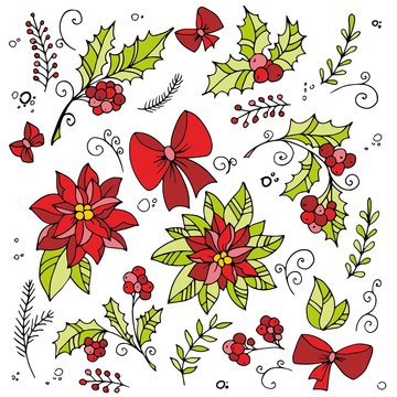 Traditional xmas decoration holly and poinsettia. Hand drawn design elements.