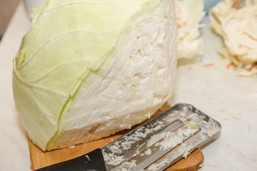 chop cabbage. harvesting cabbage. homemade blanks. a lot of cabbage close-up. cut the camouflage.