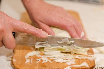 chop cabbage. harvesting cabbage. homemade blanks. a lot of cabbage close-up. cut the camouflage.